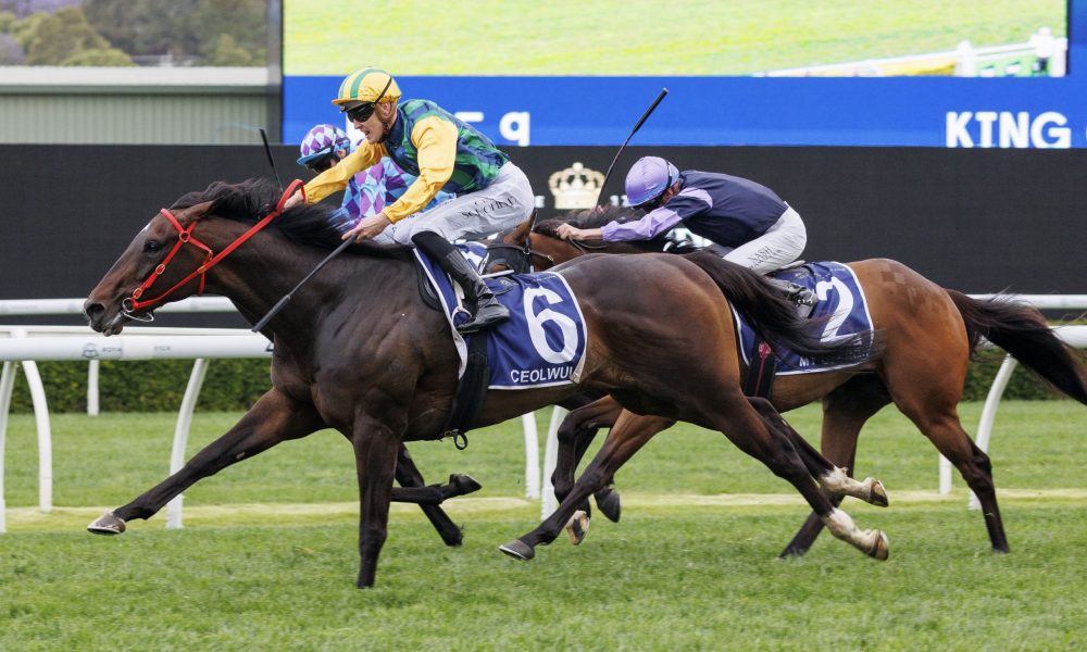 以当前的赛 以当前的赛